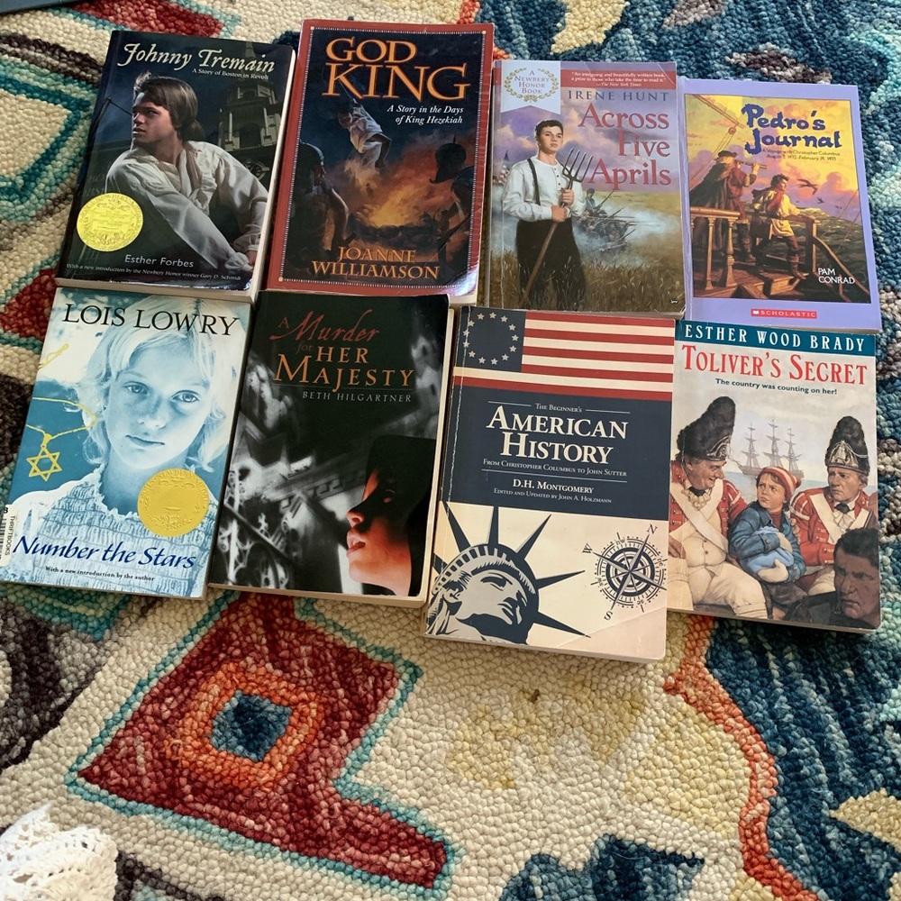 Collection of 8 Classic Novels Sonlight homeschooling curriculum paperback books